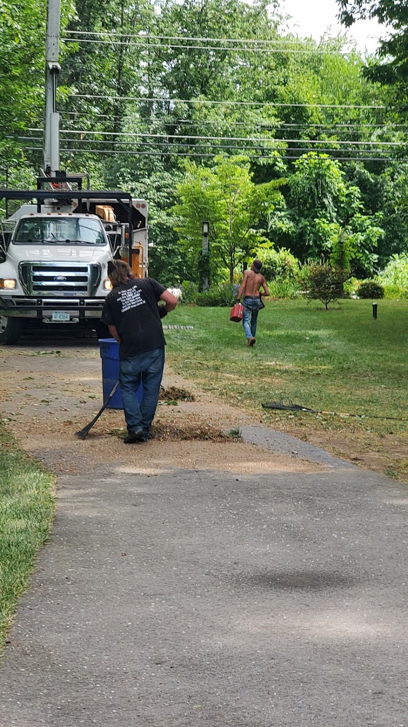 Tree service crew cleaning up after tree removal