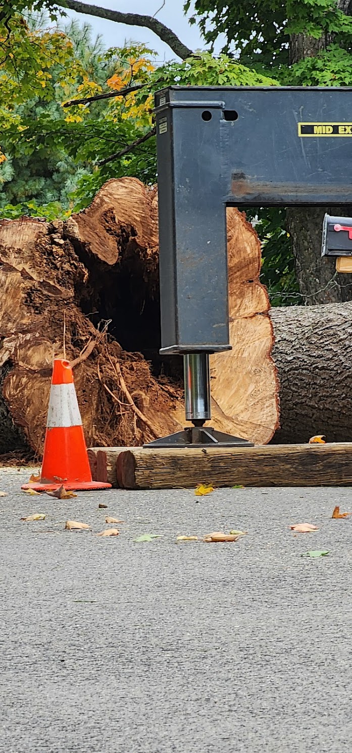 Large tree stump and trunk removal