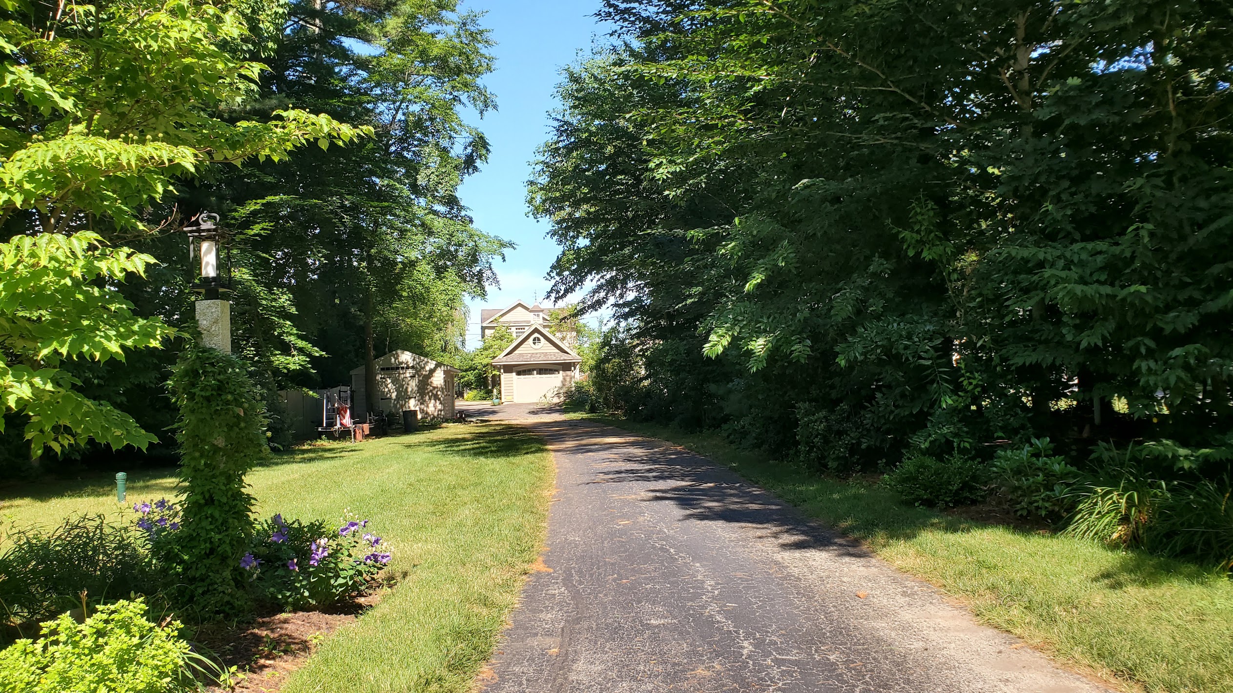 Beautiful tree-lined property driveway