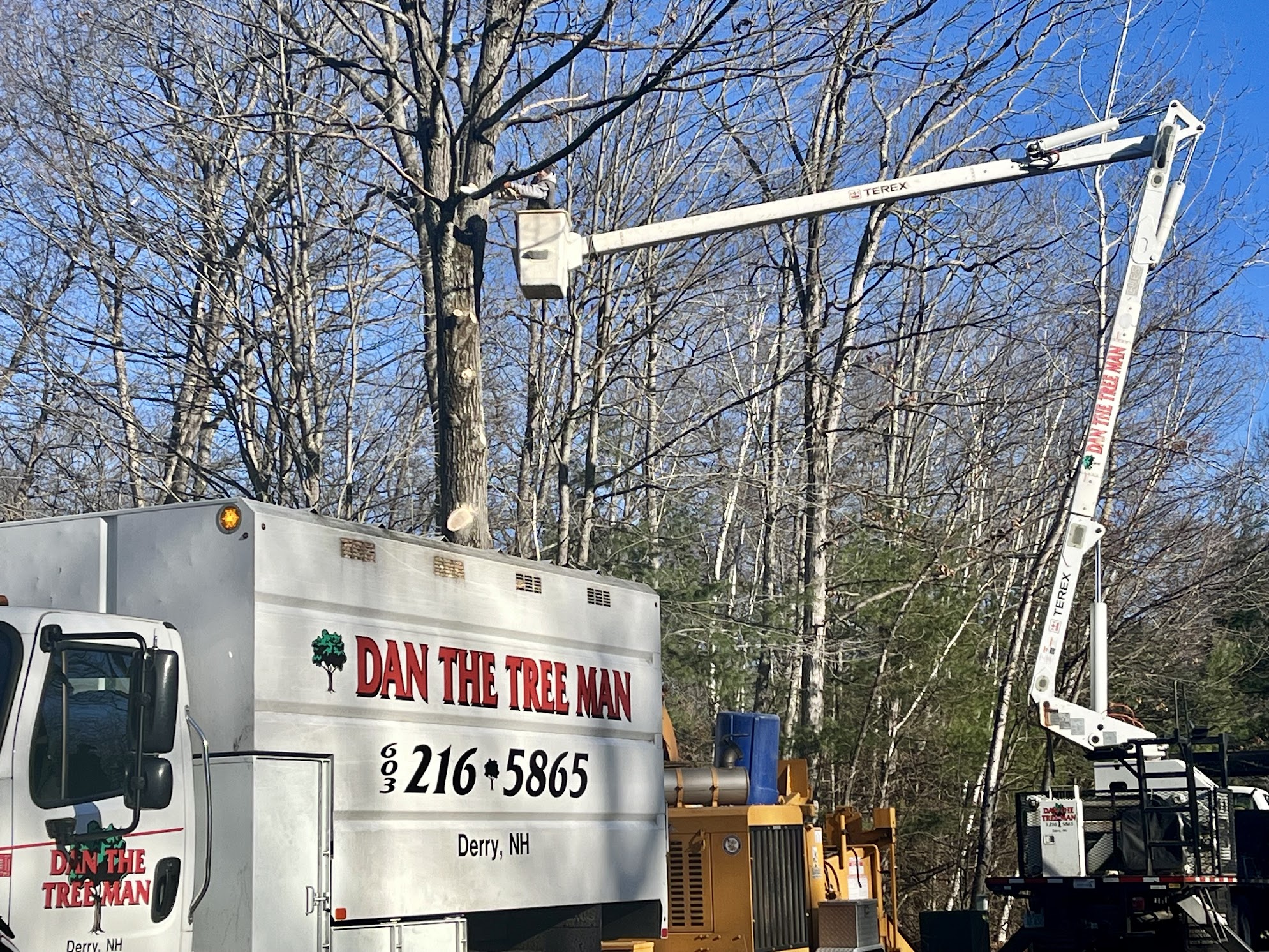 Dan The Tree Man truck with company branding and bucket truck